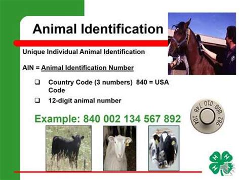 animal identification number 840